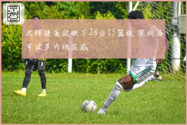 沈梓捷高效砍下28分15篮板 深圳马可波罗内线发威
