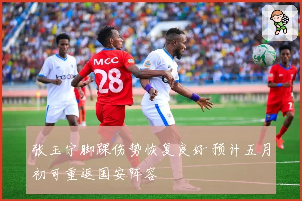 张玉宁脚踝伤势恢复良好 预计五月初可重返国安阵容