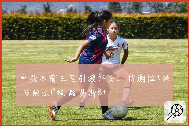 申花冬窗三笔引援评分:特谢拉A级 马纳法C级 路易斯B+